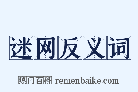 迷网反义词是什么意思的图片